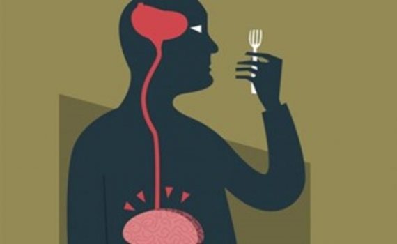 Neurological aspects that make us gain weight